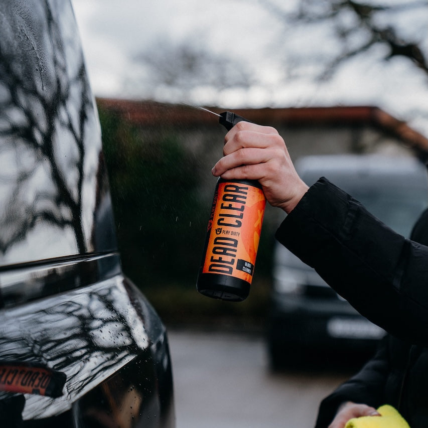 Car cleaning Detailing