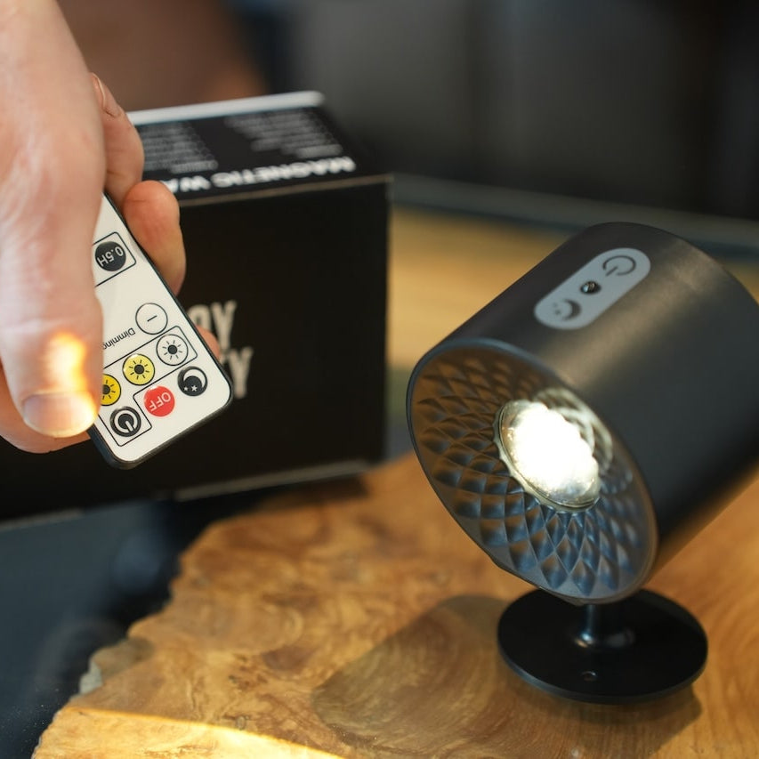 Smart LED Campervan Light