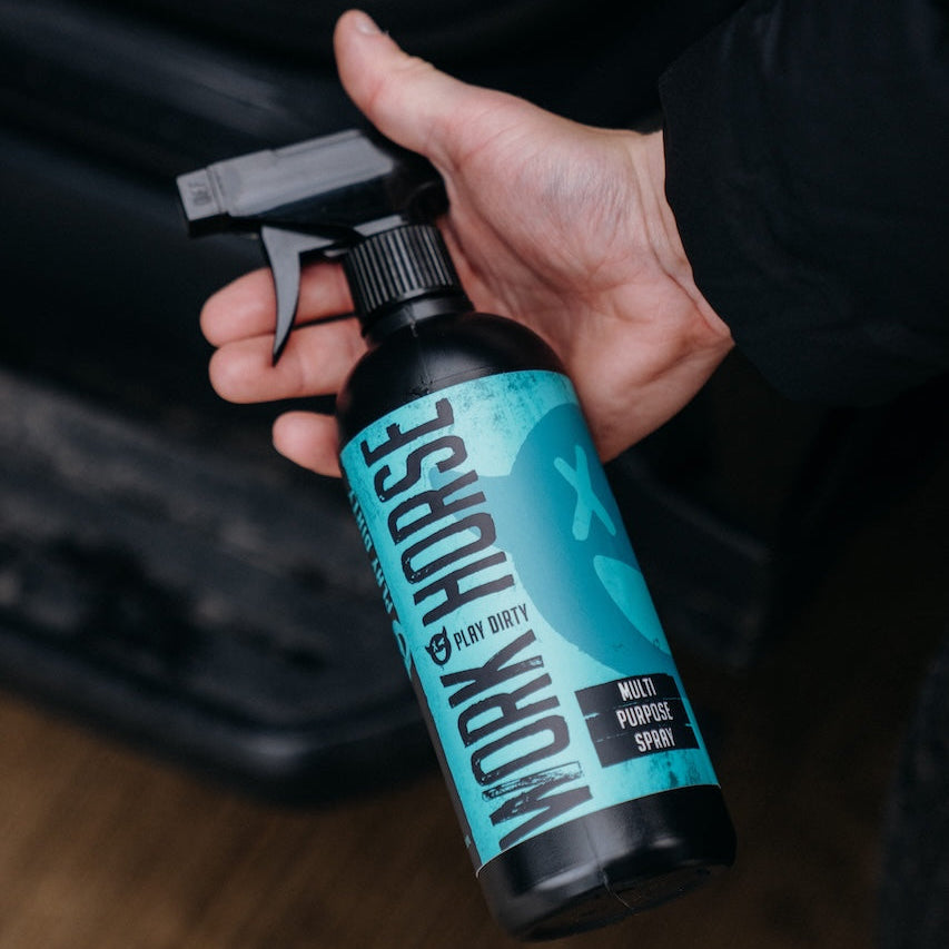 Car Cleaning Car Detailing